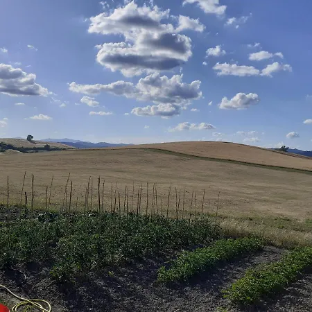 Enjoy Sunset 신기아노