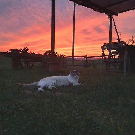 Enjoy Sunset