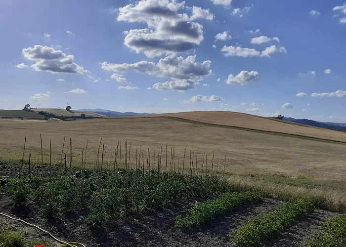 Enjoy Sunset 신기아노