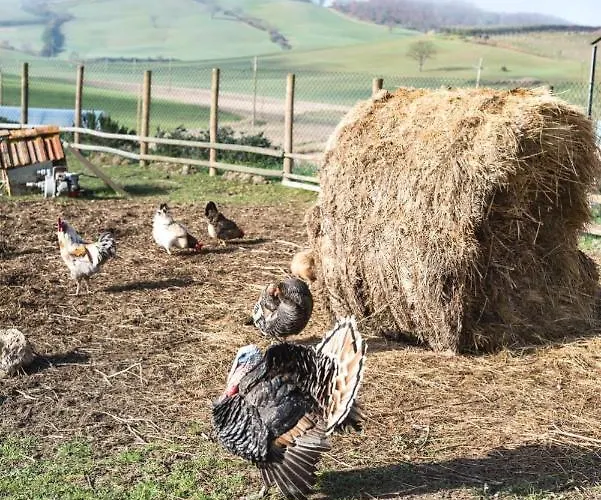 Enjoy Sunset 아파트 신기아노