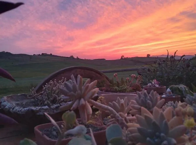 Enjoy Sunset 아파트